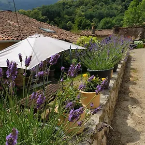 De Charme , Ganac France
